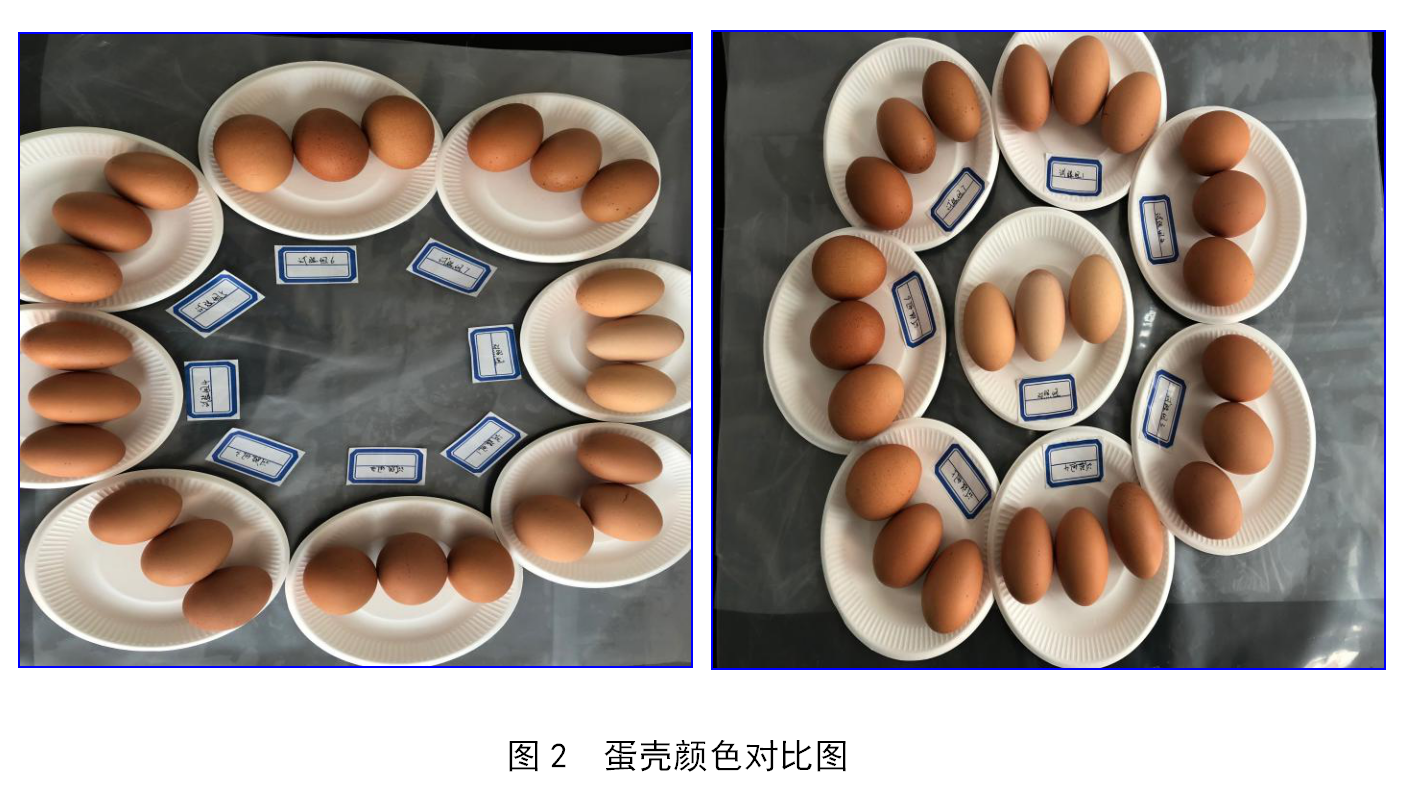 不朽情缘_首页官网入口