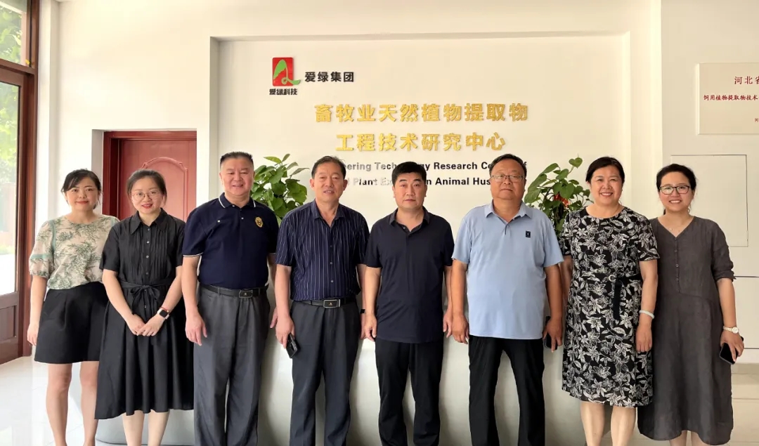 不朽情缘_首页官网入口